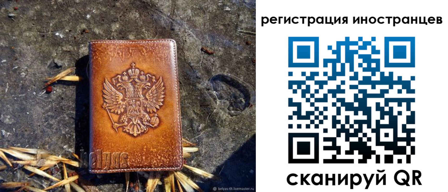 прописка регистрация в Ростове